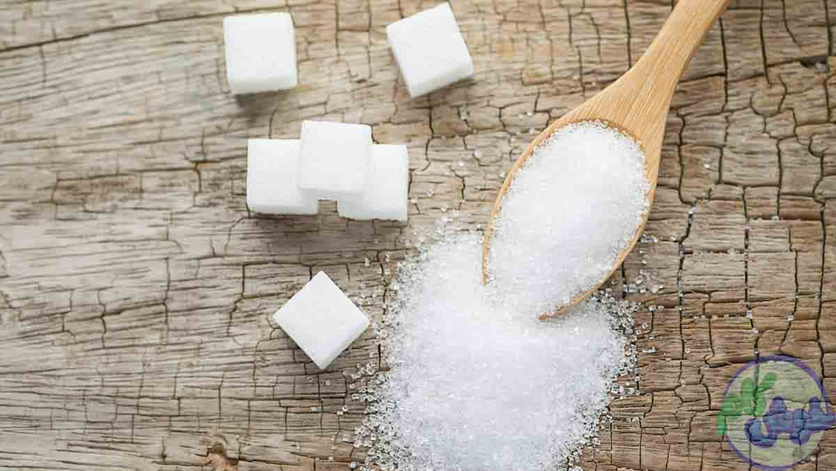 اهمیت خرید آنلاین شکر سفید فله ای عمده